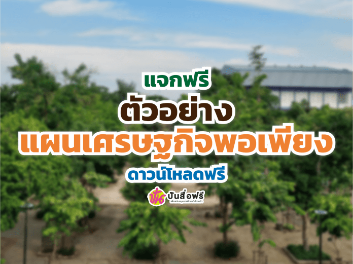 แผนพอเพียง